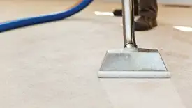 Carpet cleaning wand head gliding over a light carpet during hot-water extraction, Lakeland, FL.
